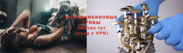 дживик Красноперекопск