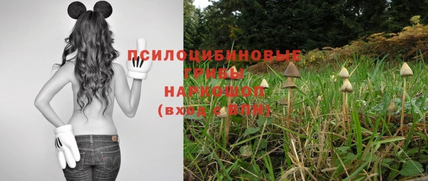 дживик Красноперекопск