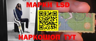 хмурый Кингисепп