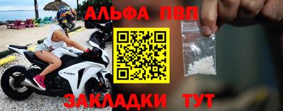 хмурый Кингисепп