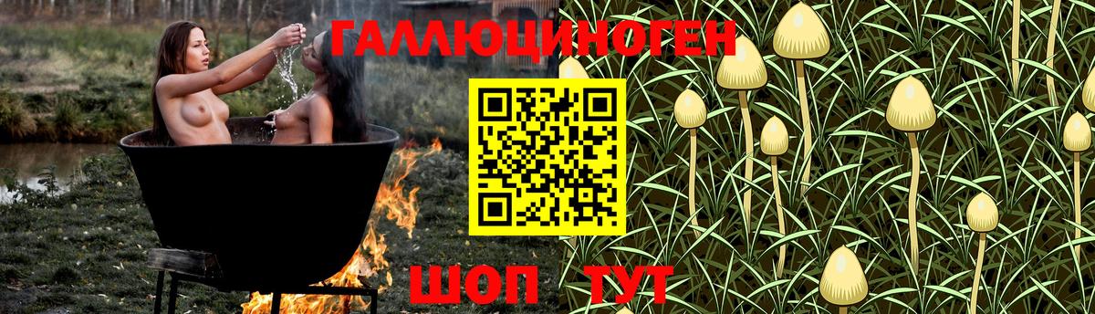 Псилоцибиновые грибы ЛСД Феодосия